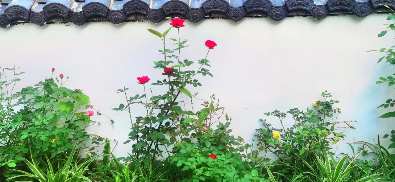 Tujia Folk Houses زانغجياجي المظهر الخارجي الصورة